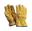 SCC